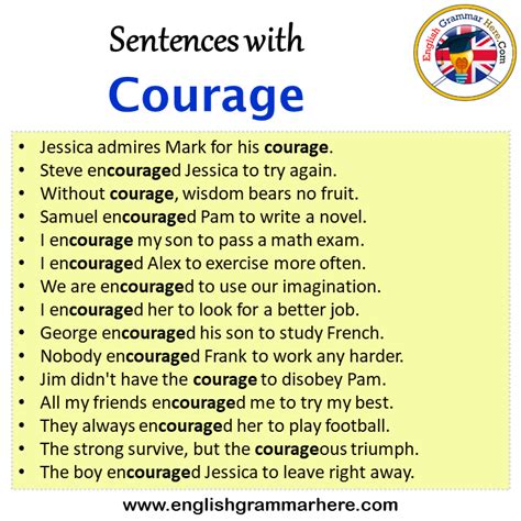 courage的动词 - 战马教育