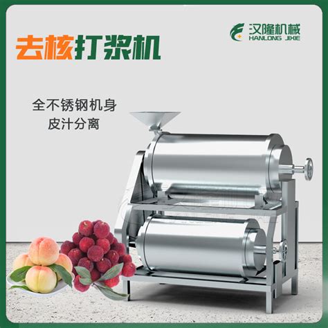 厂家直供整套果汁生产线定制果蔬深加工设备沙棘果整条生产线_江苏汉隆机械