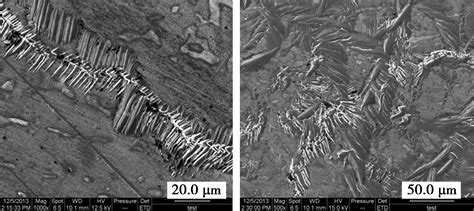 腐蚀产物晶体结构及离子选择性对P110S低合金钢在H2SCO2 环境中腐蚀行为的影响