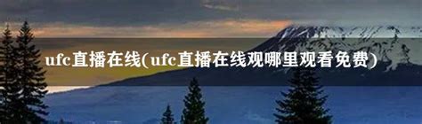 ufc直播在线(06gcc在线直播ufc) - 冰球网
