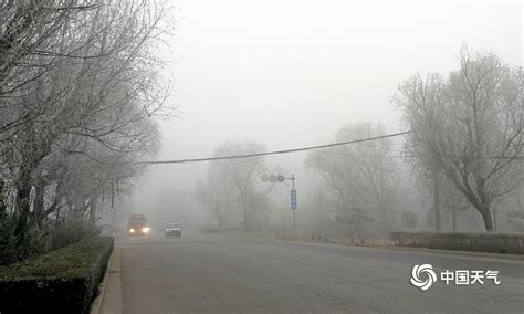 河北保定大雾弥漫 天气阴冷周末出行受影响-天气图集-中国天气网