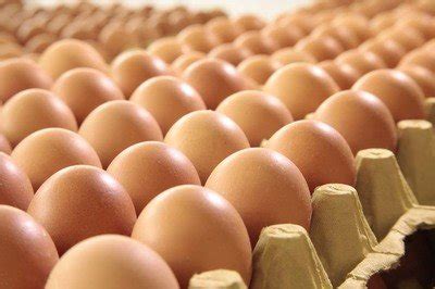 鸡蛋批发价1个月涨20%,要追上猪肉？ - 知乎