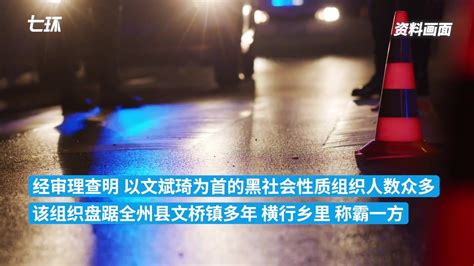 广西河池两村群众大规模械斗致3死12伤，51人被判刑