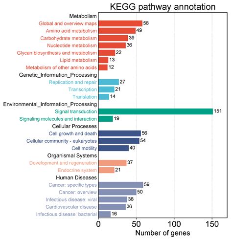 微生信-在线绘制KEGG pathway富集结果二级分类汇总图