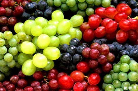 葡萄的英文是grape，那“提子”的英文是啥？_托福综合_新航道官网
