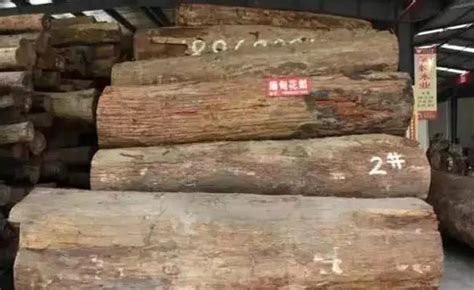 泗阳县众兴镇大兴：木业“特色小镇”始出来【批木网】 - 木业行业 - 批木网