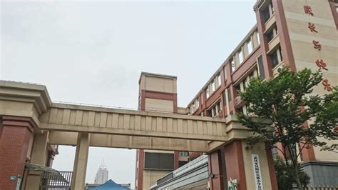 “武汉小学生校内被撞致死”细节披露：小孩去车前捡纸飞机时被撞倒，被前后轮碾轧_凤凰网