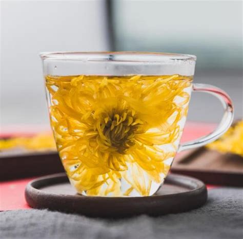 喝菊花茶有什么好处与坏处 喝菊花茶的功效与作用_花茶_绿茶说