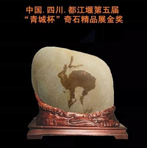 第二届常山国际赏石文化节，金奖_乾隆奇石博物馆