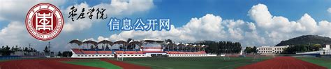枣庄市文化和旅游局2022年度政府信息公开工作年度报告 - 枣庄市文化和旅游局