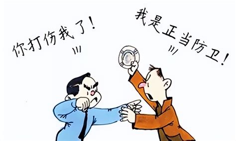 别人先动手打我，我还手，难道不是正当防卫吗？_澎湃号·政务_澎湃新闻-The Paper