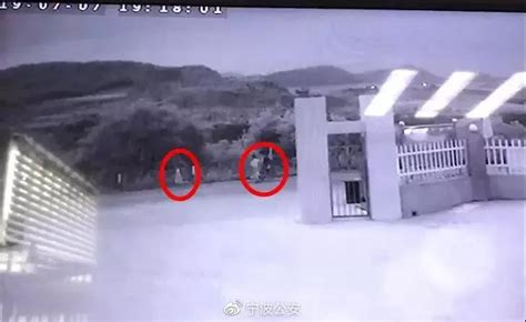 夜读丨杭州失踪女童遗体找到了，背后的真相更可怕……-大河新闻