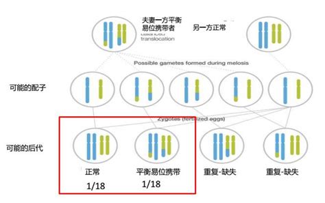 姜玉武团队发表GRIN2D基因突变与儿童癫痫脑病研究成果_北京大学医学部