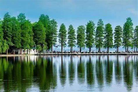 武汉东湖公园有什么好玩的 武汉东湖公园有哪些好玩的地方_知秀网