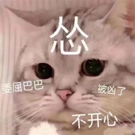 情侣动态图表情包图片