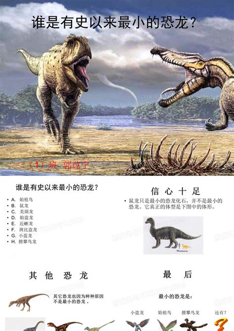 小盗龙：已知最小的恐龙之一（长0.56米/辽宁食肉恐龙）_探秘志