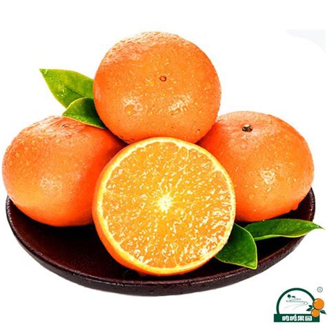 广西武鸣沃柑是如何一步步成为广西柑橘特色品牌的 - 沃柑种植_沃柑种植技术 - 广西鸣鸣果园集团