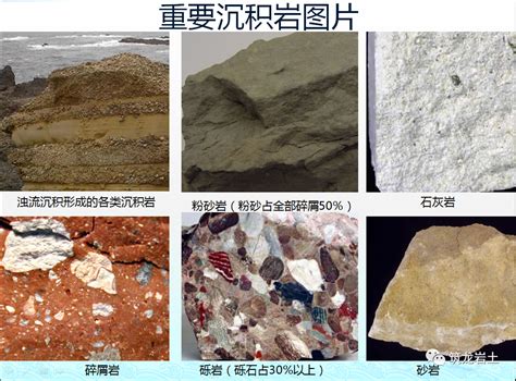 粉砂岩-Siltstone-地质-岩石-矿物-矿石-标本-高清图片-中国新石器-百科,地质,知识,资料,教学