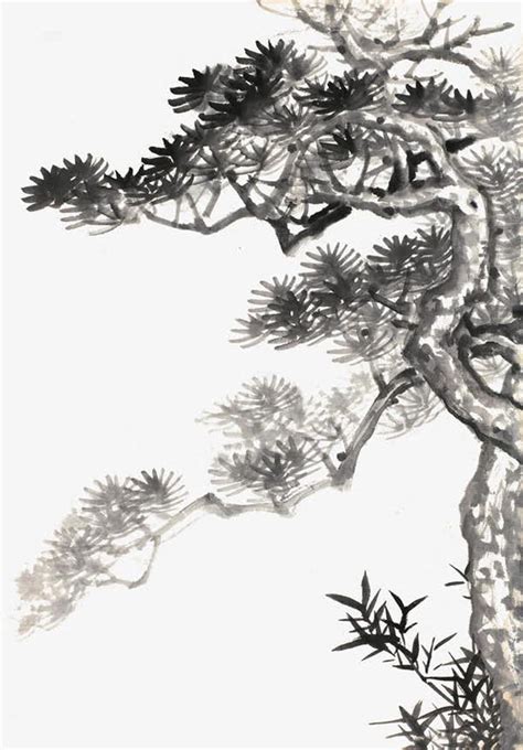 国画松树的画法:松柏松树水墨画图片大全之黑白水墨篇14