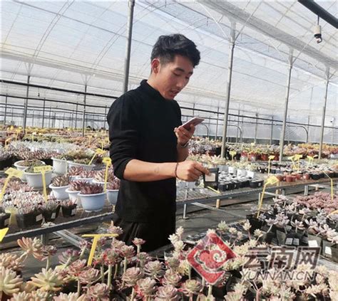 昆明市晋宁区国际花卉交易物流中心启动运营__财经头条