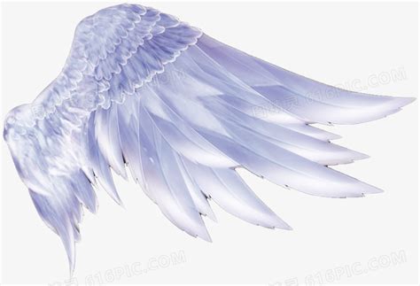 天使的翅膀图片免费下载_PNG素材_编号1xril0w01_图精灵