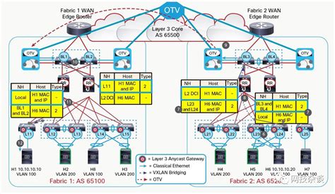 XCM8800系列交换机VLAN 配置实例