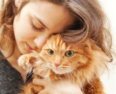 为什么女生喜欢养猫（5个女生喜欢养猫的原因） - 胖萌舍宠物网