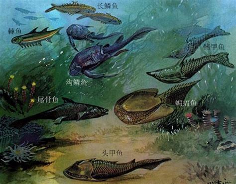 地球上最古老的鱼是什么鱼？--中国数字科技馆