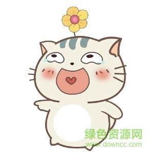 贱猫图片