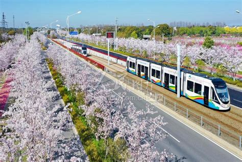 海南三亚有轨电车示范线初期运营开通 系海南首条城市轨道交通线路