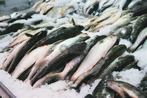 市场上的冰上鲜鱼接近市场高清图片下载-正版图片506243013-摄图网