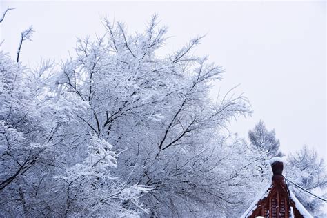 瑞雪兆丰年：嵩山禅院雪景_新浪图片