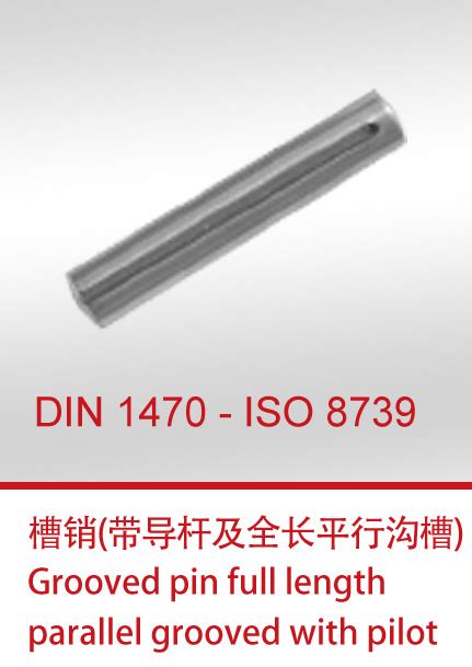 DIN 1470 - ISO 8739 - GB/T 13829.1,槽销 - 带导杆及全长平行沟槽_轴用挡圈_不锈钢螺钉_万喜（天津）紧固件有限公司