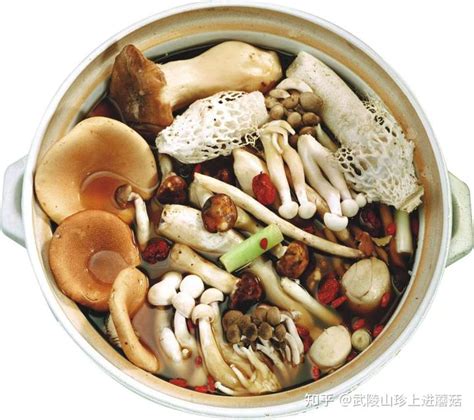 【武陵山珍】蘑菇的家常好味道做法（一） - 知乎