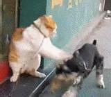打狗图图片