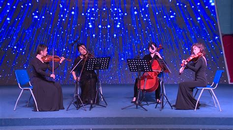 湖南卫视2020跨年演唱会|资讯-元素谷(OSOGOO)