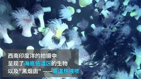 中国首部深海立体电影《蛟龙入海》上映