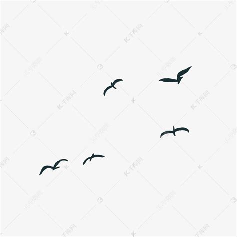 飞翔的鸟类摄影高清图片 - 爱图网设计图片素材下载