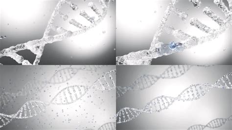 DNA结构动画医疗医学生物技术遗传学_3840X2160_高清视频素材下载(编号:7746497)_影视包装_光厂(VJ师网) www ...