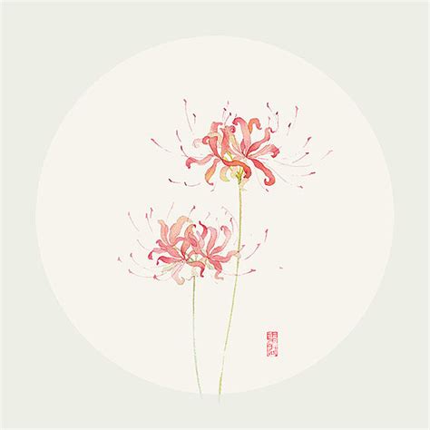 花拟人 绝爱之花 彼岸花-曼珠沙华 绘师：L… - 堆糖，美图壁纸兴趣社区