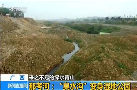 【来之不易的绿水青山】广西 那考河：“臭水沟”变身湿地公园-新闻中心-温州网