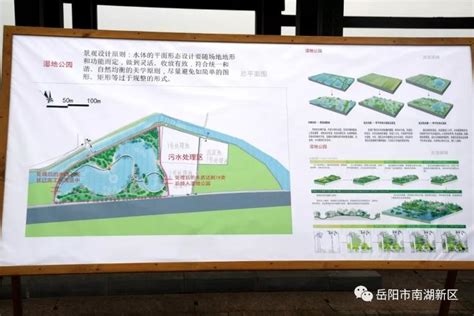李爱武调研南湖新区黄梅港湿地公园项目