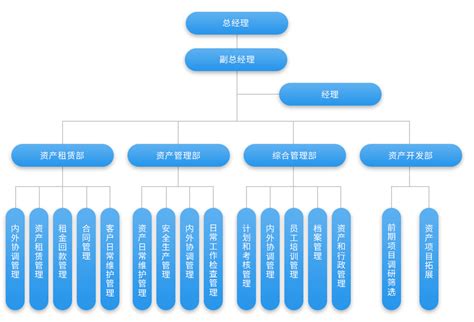 管理架构图图片