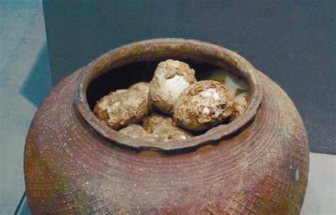 螺蛳真香，5000年前的古人早就吃上了 - 知乎