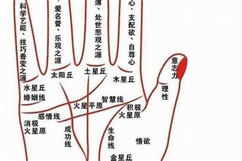 漏财手相图解图片