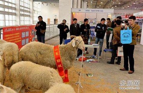 安徽畜牧展：华中六省、华东三省最大的畜牧业展会-去展网