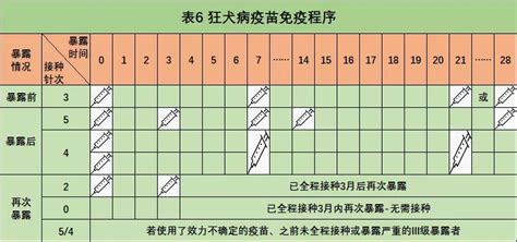 全国儿童预防接种日来了！武汉的家长们，记得带娃接种疫苗（内附最新门诊名单）-校医院