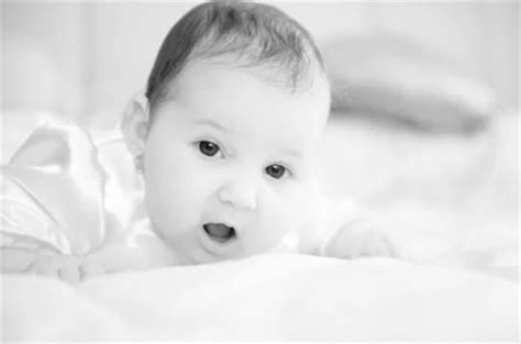 2023年2月1日农历正月十一出生最旺男兔宝宝名字 促运取名查询-起名网