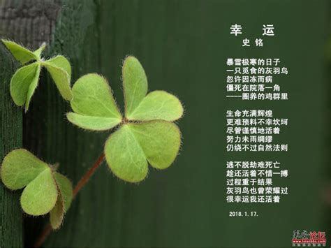 有好运图片