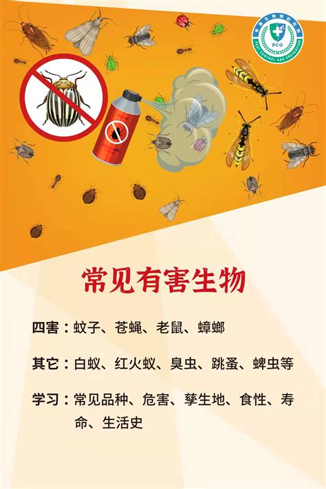 广东省有害生物防制协会会员证书1 - 深圳市家乐白蚁虫害防治有限公司